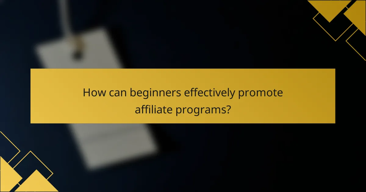 How can beginners effectively promote affiliate programs?
