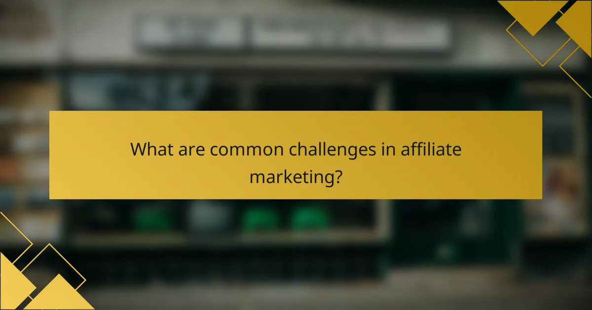 What are common challenges in affiliate marketing?