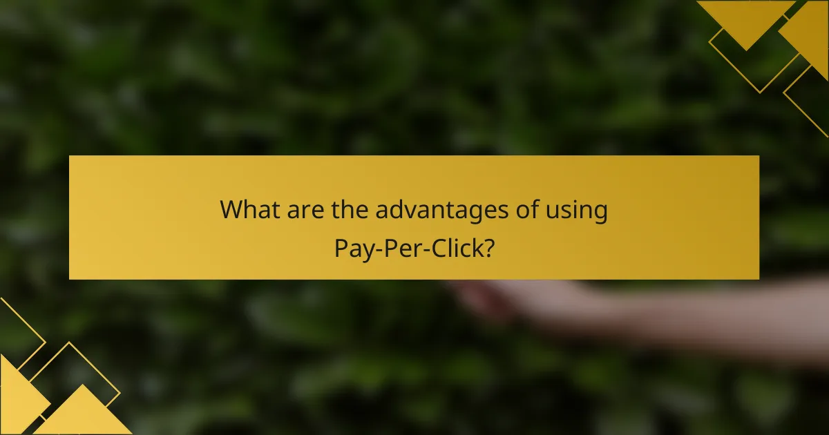 What are the advantages of using Pay-Per-Click?